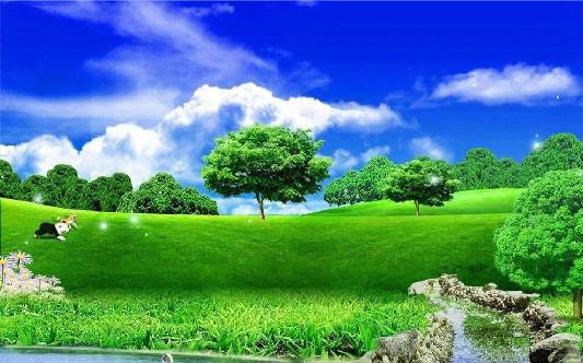 ҹɫָϡʽʵʩ